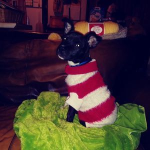 Meet your Posher, Donna